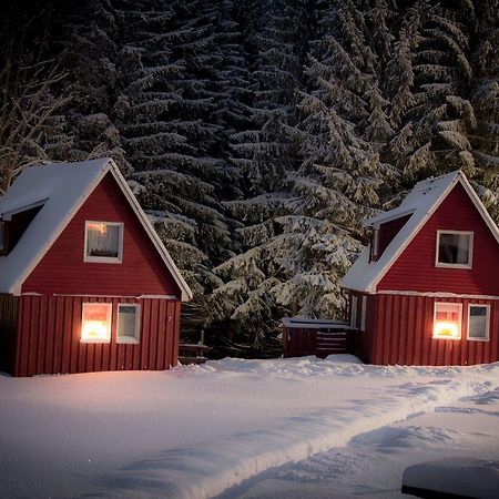 Erzgebirgsidyll Villa Брайтенбрун Екстериор снимка