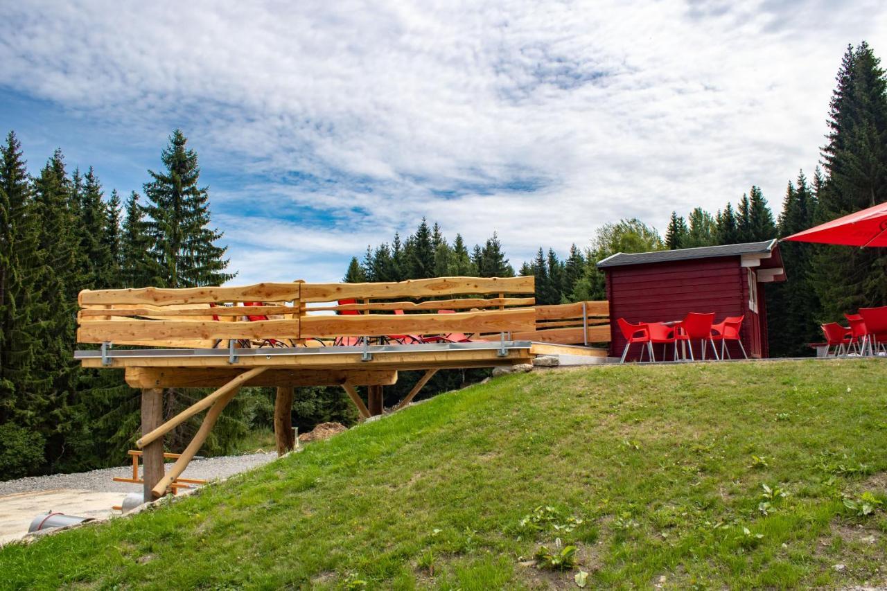 Erzgebirgsidyll Villa Брайтенбрун Екстериор снимка