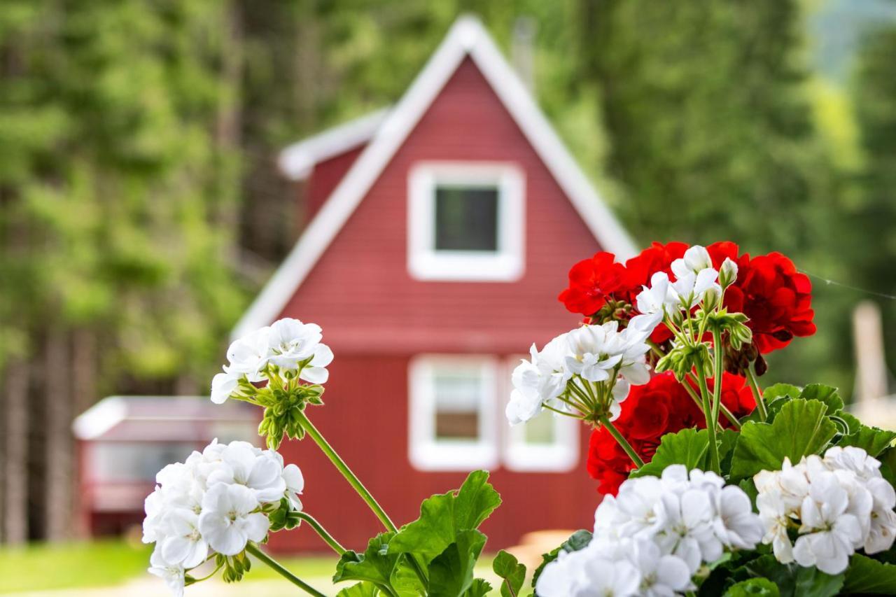 Erzgebirgsidyll Villa Брайтенбрун Екстериор снимка